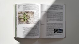 HE&AD Büro für Gestaltung