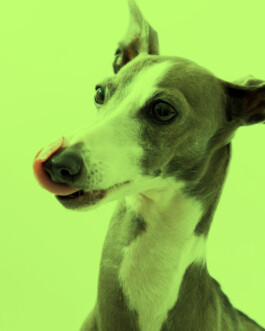 HE&AD Büro für Gestaltung